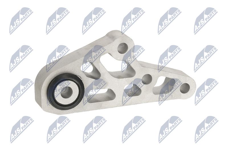 Paigutus, Mootor, NTY ZPS-CH-119