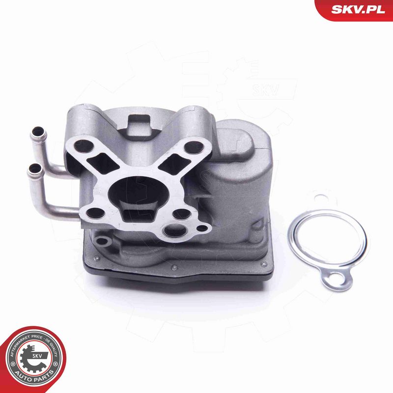 ESEN SKV 14SKV102 EGR Valve