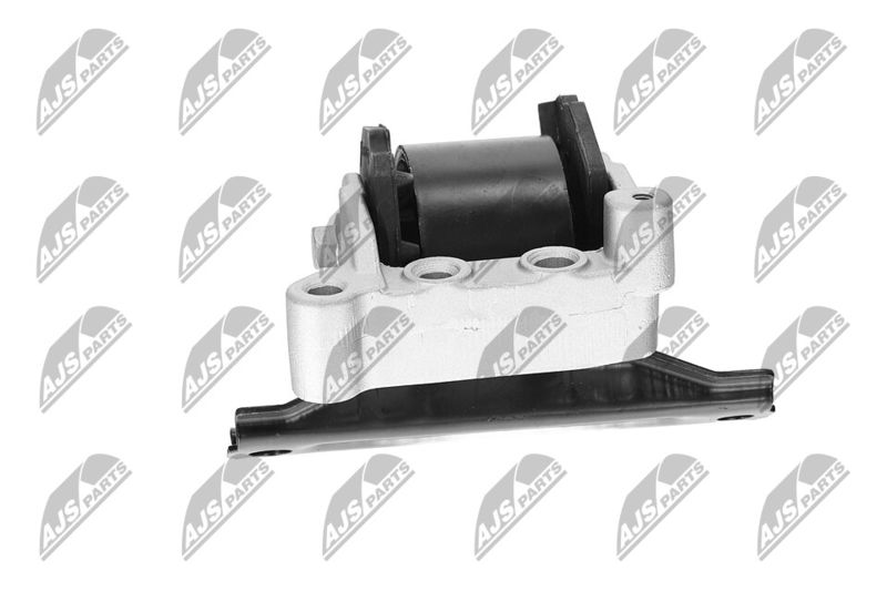 Paigutus, Mootor, NTY ZPS-CH-071