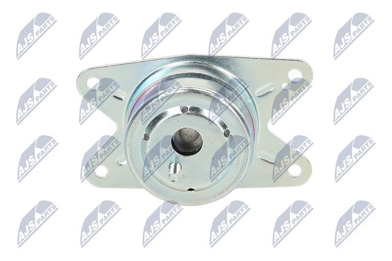 Paigutus, Mootor, NTY ZPS-PL-075