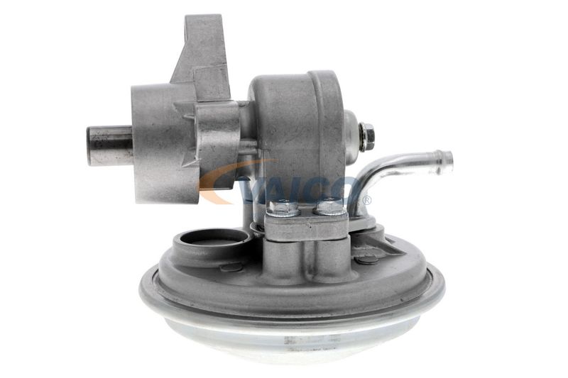 VAICO V25-1908 Mounting, engine