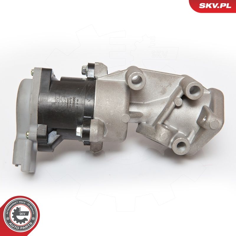 EGR-klapp, ESEN SKV 14SKV072