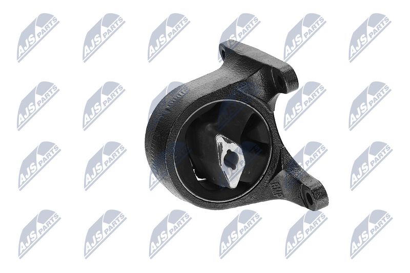 Paigutus, Mootor, NTY ZPS-CH-008