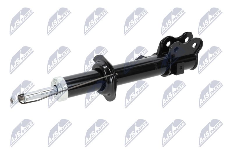 Amort, NTY A-NS-009