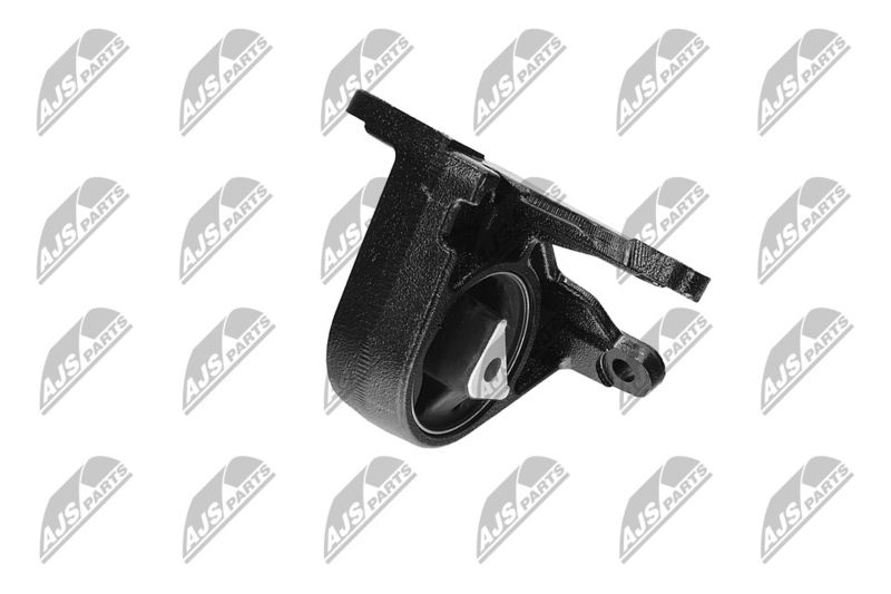 Paigutus, Mootor, NTY ZPS-CH-087