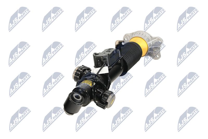 Amort, NTY A-BM-084