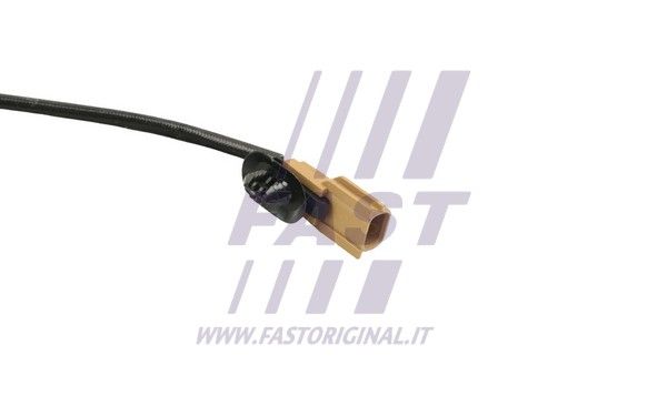 FT80269_3_1.JPG