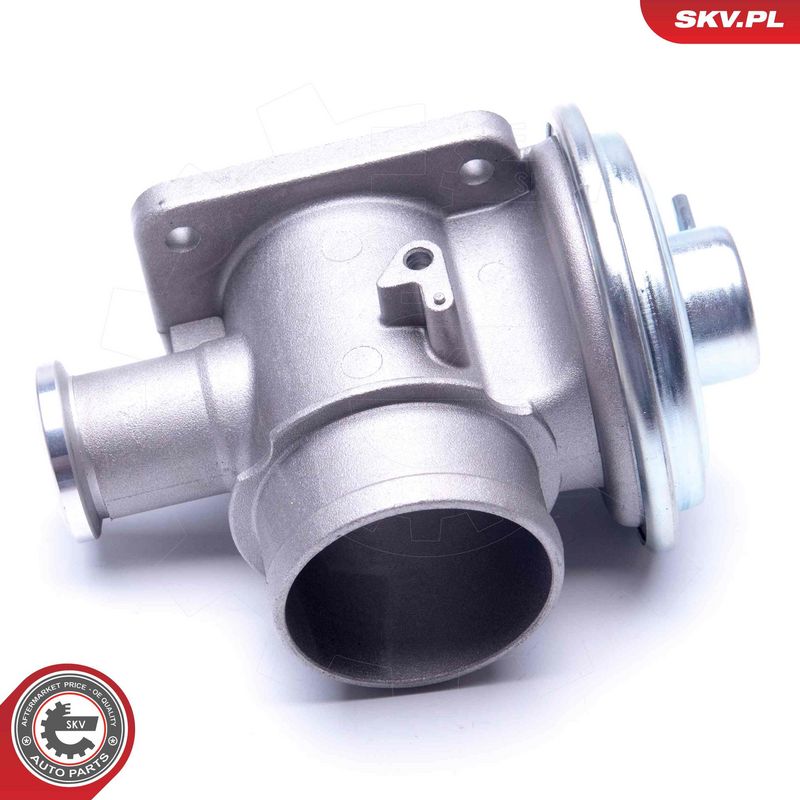 EGR-klapp, ESEN SKV 14SKV179