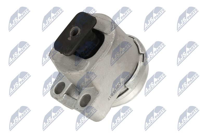 Paigutus, Mootor, NTY ZPS-FR-017