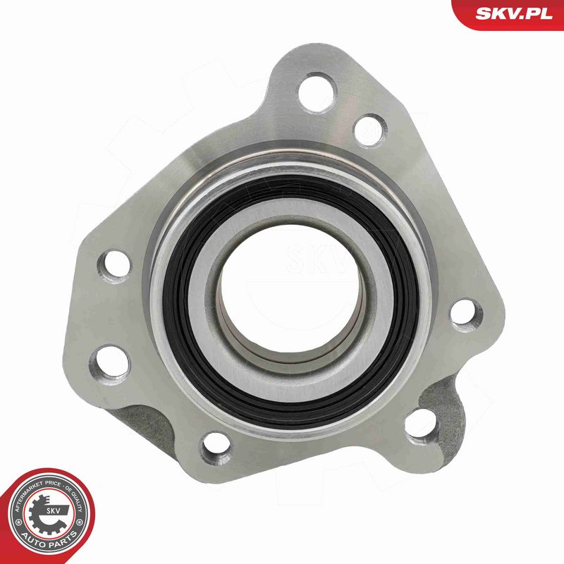 ESEN SKV 29SKV716 Wheel Bearing Kit