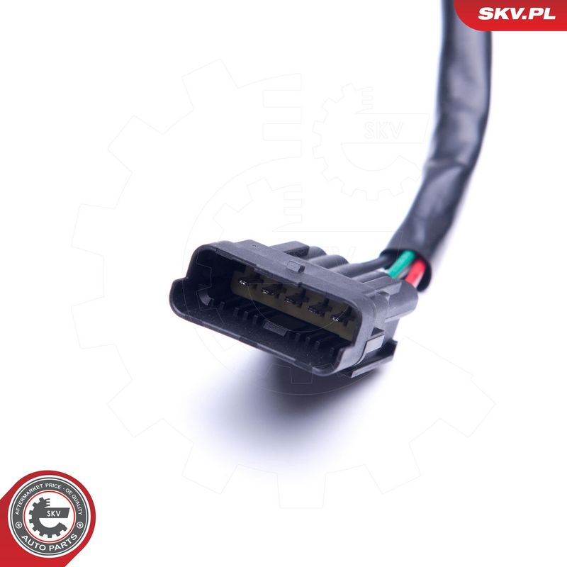 Pesuri mootor, ESEN SKV 19SKV035