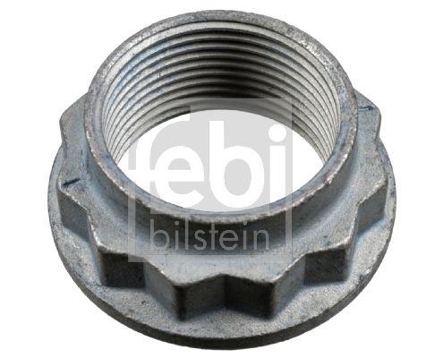 Гайка, цапфа осі, Febi Bilstein 01841