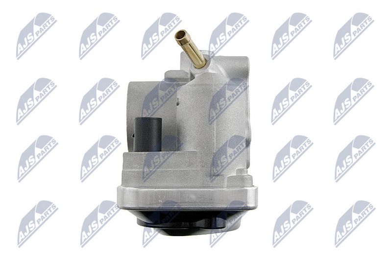 etb-vw-001_4-wm.JPG