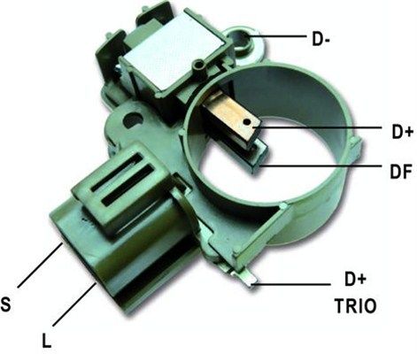 DDF_AMP0809_WR.JPG