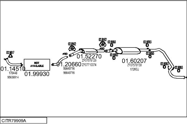 CITR79909A.JPG