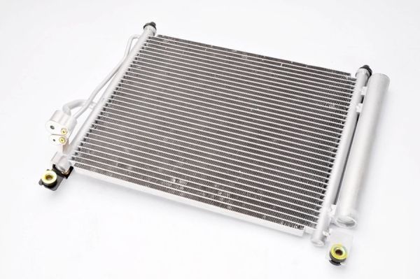 KTT110307_#1.JPG