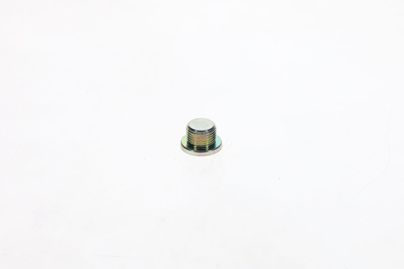 Surub F 002 D13 566 BOSCH