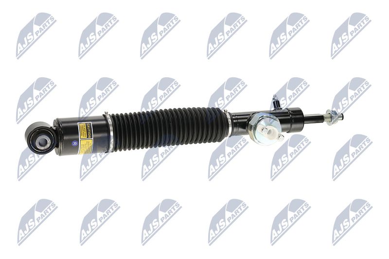 Amort, NTY A-NS-056