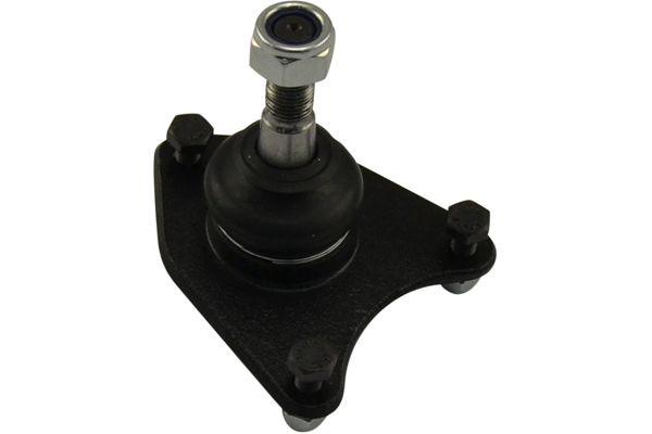 Kavo Parts Šarnyras / girgždukas