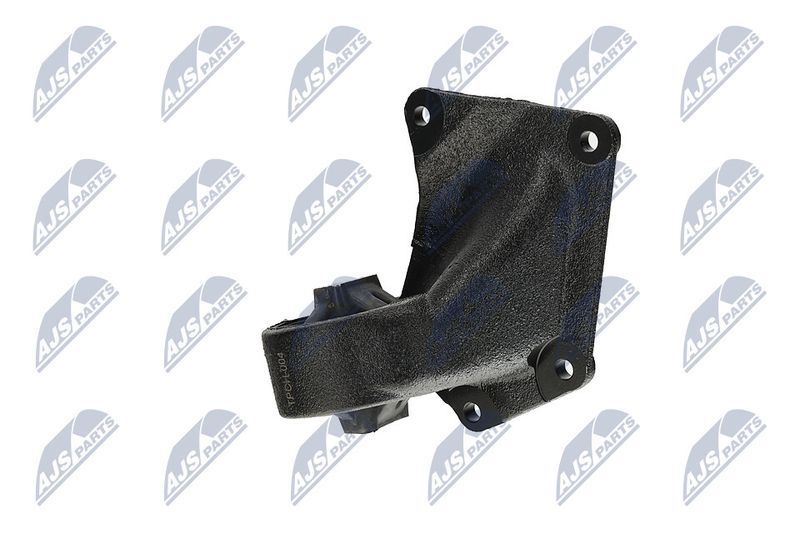 Paigutus, Mootor, NTY ZPS-CH-004