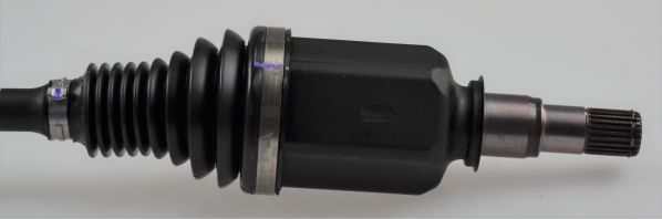 GKND12984C.JPG