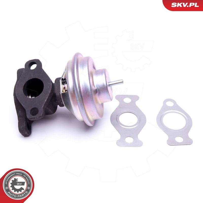 EGR-klapp, ESEN SKV 14SKV204