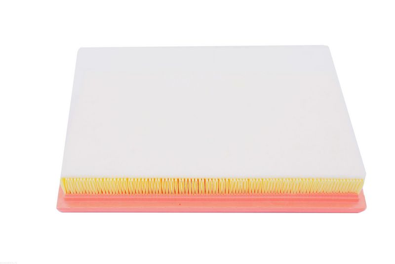 AUTOMEGA 250053710 Air Filter