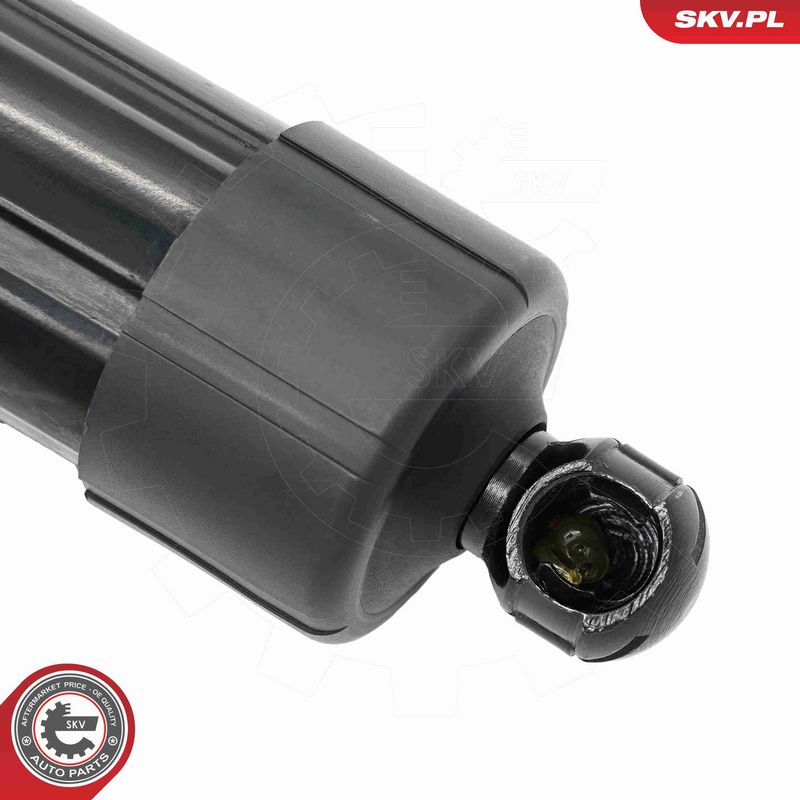 ESEN SKV 52SKV166 Electric Motor, tailgate