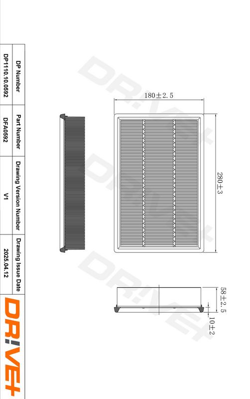Filtru aer DP1110.10.0592 Dr!ve+