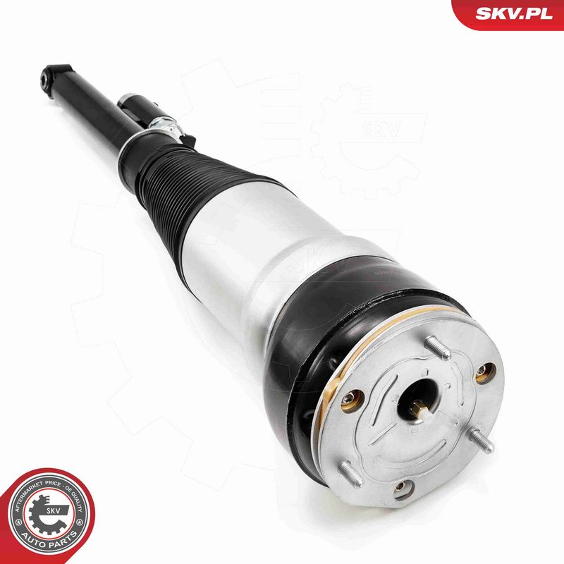 ESEN SKV 58SKV725 Air Suspension Strut