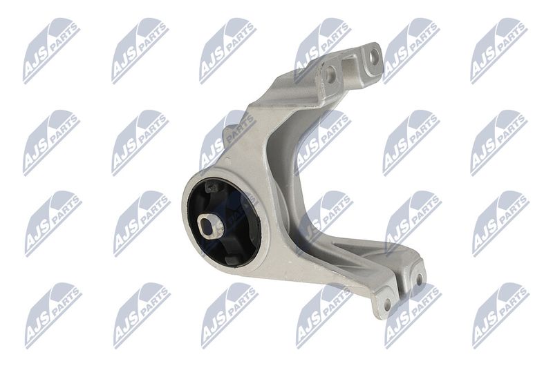 Paigutus, Mootor, NTY ZPS-CH-105