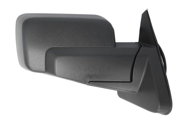 BLIC 5402-55-0615313P Exterior Mirror