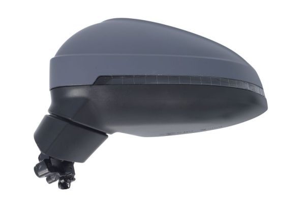 BLIC 5402-25-0054318P Exterior Mirror