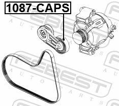 FEBEST 1087-CAPS Tensioner Pulley, V-ribbed belt