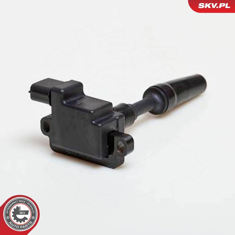 ESEN SKV 03SKV077 Ignition Coil