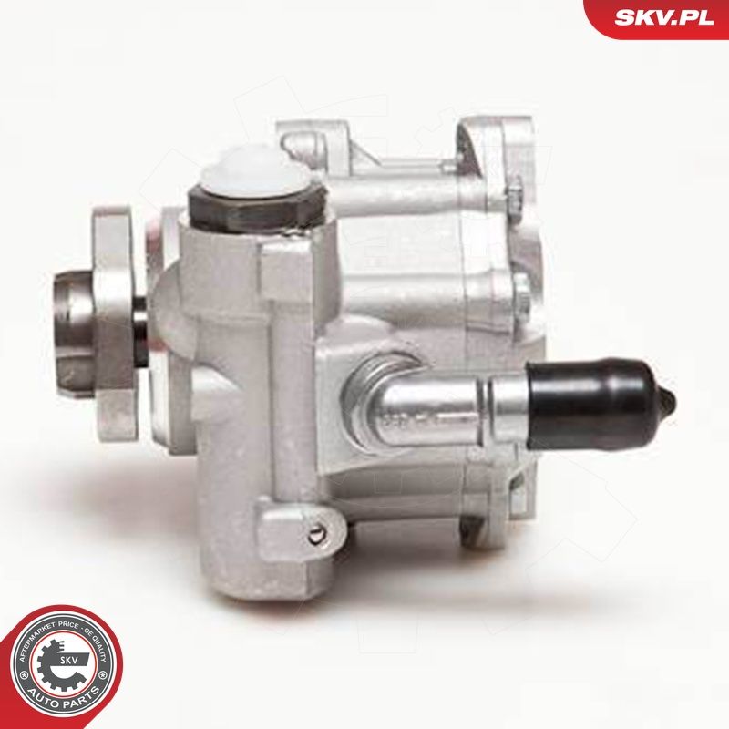 Hüdraulikapump, roolimine, ESEN SKV 10SKV110