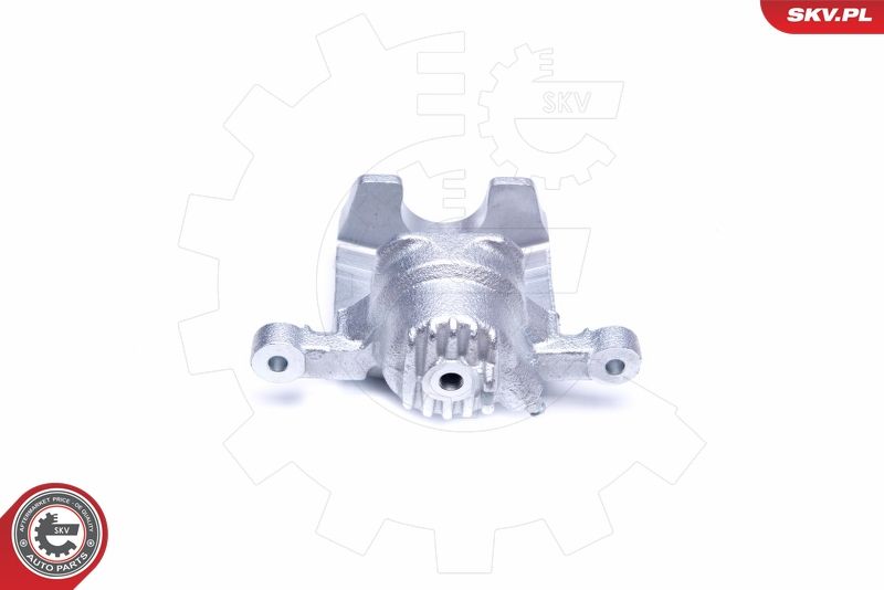 ESEN SKV 42SKV953 Brake Caliper