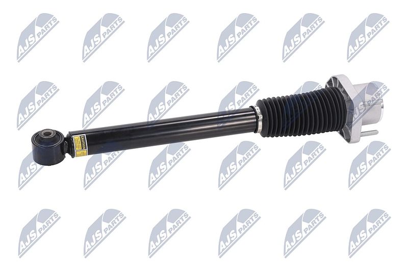 Amort, NTY A-LR-015