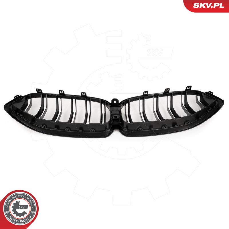 Radiaatorivõre, ESEN SKV 66SKV229