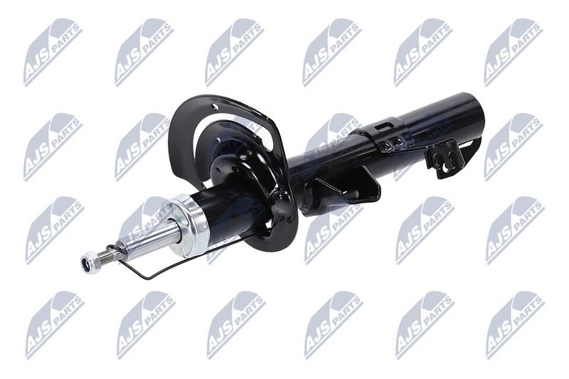 Amort, NTY A-CH-083