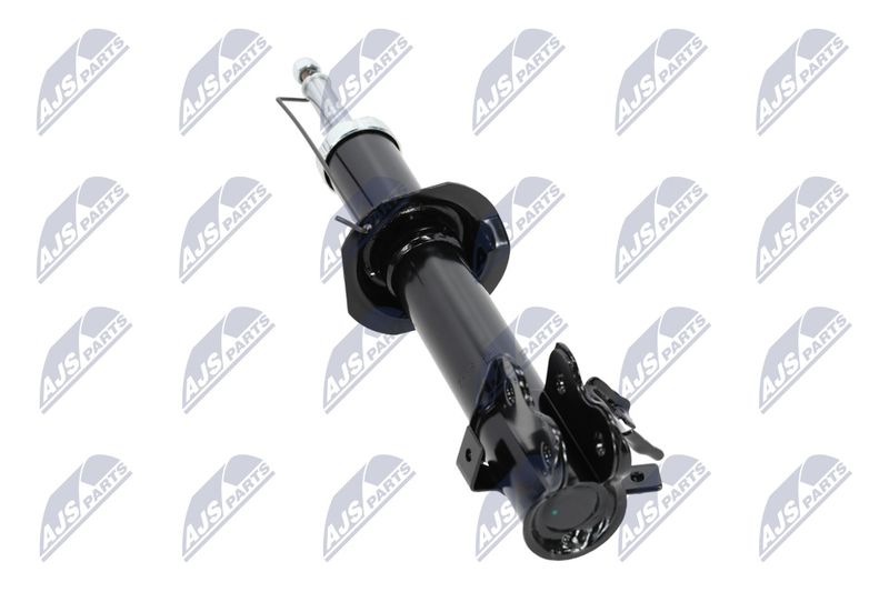Amort, NTY A-NS-009
