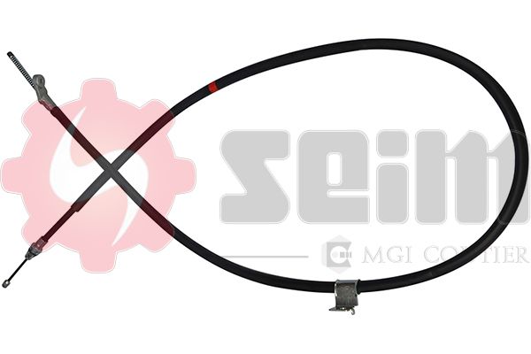 555179.JPG