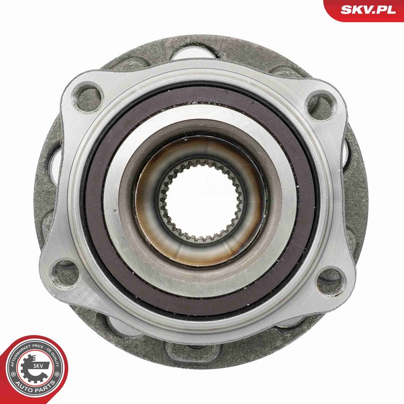 ESEN SKV 29SKV623 Wheel Bearing Kit